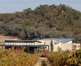 Amulet Vineyard And Beechworth Cider - Sydneys Hotel 8