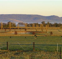 Holbrook Landcare Self-Drive Eco Tour