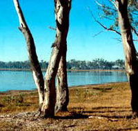 Lake Broadwater Conservation Park - Sydneys Hotel