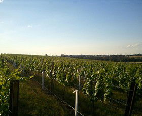 Beechworth Wine Estates - Sydneys Hotel 5