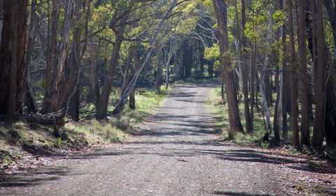 Coolah Tops National Park - Sydneys Hotel 1