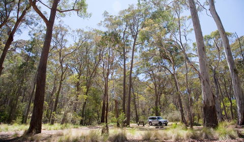 Coolah Tops National Park - Sydneys Hotel 0