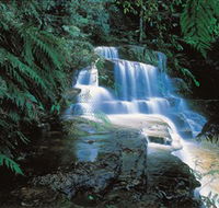 Leura Cascades