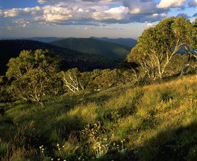 Namadgi National Park And Visitors Centre - Sydneys Hotel 2