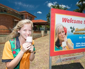 Mammino Gourmet Ice Cream - Sydneys Hotel 3