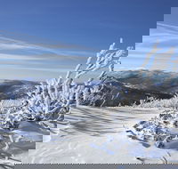 Rock Creek snowshoe track - Sydneys Hotel