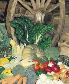 Mulgowie Real Farmers Markets - Sydneys Hotel 0