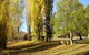 Gaden Trout Hatchery - thumb 1