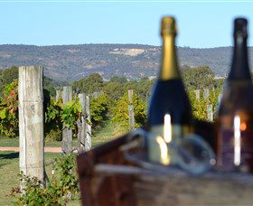 Ugly Duckling Wines - Sydneys Hotel 1