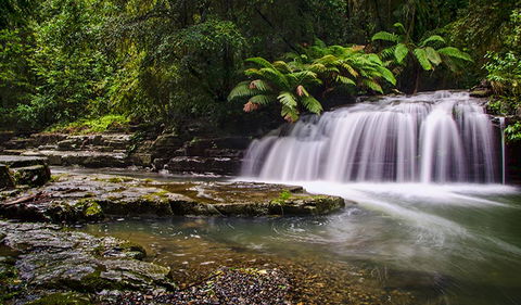 Rocky Crossing Walk - Sydneys Hotel 0
