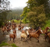 Glenworth Valley Horse Riding - Sydneys Hotel