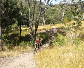 The Steps Mountain Bike Park - Sydneys Hotel 2