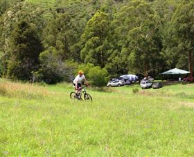 The Steps Mountain Bike Park - Sydneys Hotel 1