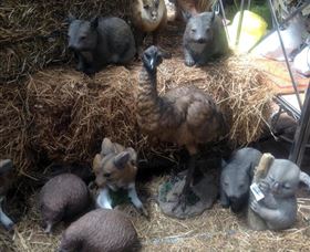 Country Elegance Gardens And Gifts - Sydneys Hotel 1