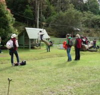 Forest of Tranquillity - Australian Rainforest Sanctuary - Sydneys Hotel