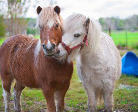 Amazement Farm And Fun Park / Cafe And Farmstay Accommodation - Sydneys Hotel 5