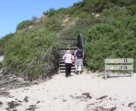 Penguin Island Boardwalks And Walk Trail - Sydneys Hotel 2