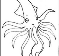 Squid Studio - Sydneys Hotel