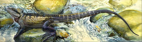 Manning Regional Art Gallery - Sydneys Hotel 4