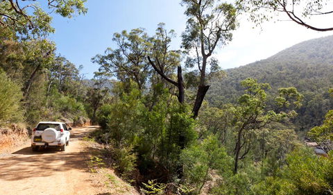 Wadbilliga Road Drive - Sydneys Hotel 1