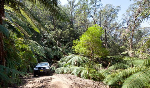 Wadbilliga Road Drive - Sydneys Hotel 3