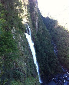 Ellenborough Falls - Sydneys Hotel 0