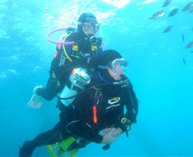 Shellharbour Scuba & Photography Centre - Sydneys Hotel 1
