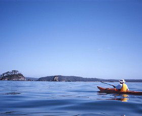 Kayaking Batemans Bay - Sydneys Hotel 0