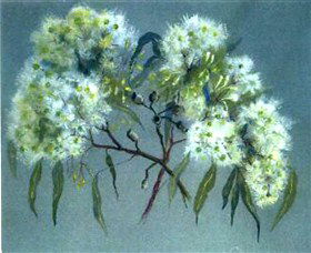 Norma Holt Studio Gallery - Sydneys Hotel 1