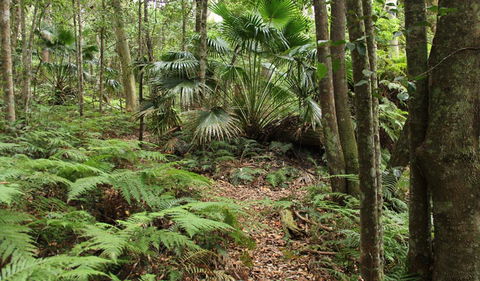 Durras Lake Discovery Trail - Sydneys Hotel 0