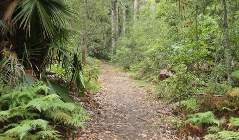 Durras Lake Discovery Trail - Sydneys Hotel 1