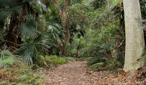 Durras Lake Discovery Trail - Sydneys Hotel 2