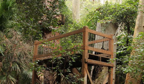 Durras Lake Discovery Trail - Sydneys Hotel 3