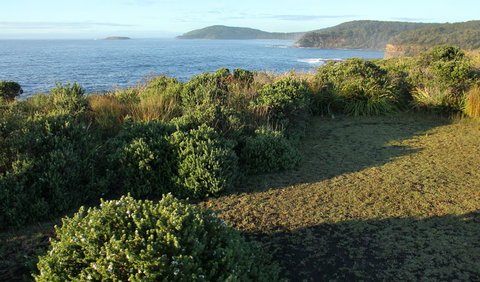 Pretty Beach To Durras Mountain Walking Track - Sydneys Hotel 3
