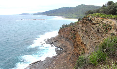 Pretty Beach To Snapper Point Walking Track - Sydneys Hotel 1