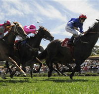 Moruya Racecourse - Sydneys Hotel