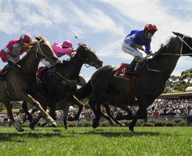 Moruya Racecourse - Sydneys Hotel 0