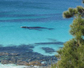 Jervis Bay Marine Park - Sydneys Hotel 0