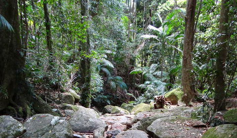 Wollumbin National Park - Sydneys Hotel 2