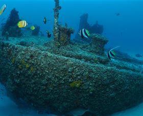 Curtain Artificial Reef Dive Site - Sydneys Hotel 1