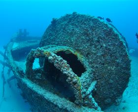 Curtain Artificial Reef Dive Site - Sydneys Hotel 3