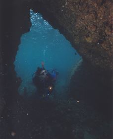 Tangalooma Wrecks Dive Site - Sydneys Hotel 1