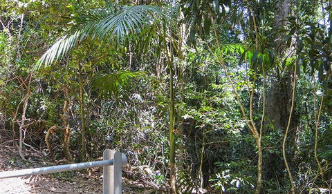 Goorgana Walking Track - Sydneys Hotel 0