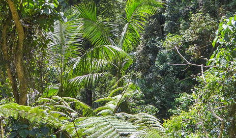 Goorgana Walking Track - Sydneys Hotel 1