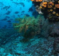 Henderson Rock Dive Site - Sydneys Hotel