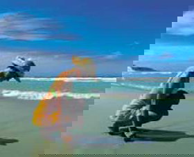 Hallidays Point NSW Sydneys Hotel