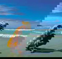 Diamond Beach - Sydneys Hotel