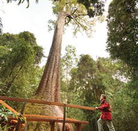 Old Bottlebutt - Sydneys Hotel