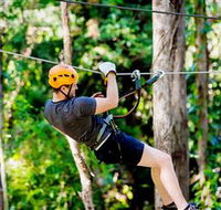 TreeTop Challenge Currumbin - Sydneys Hotel
