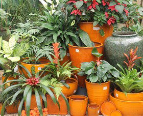 Diamond Waters Garden Nursery - Sydneys Hotel 1